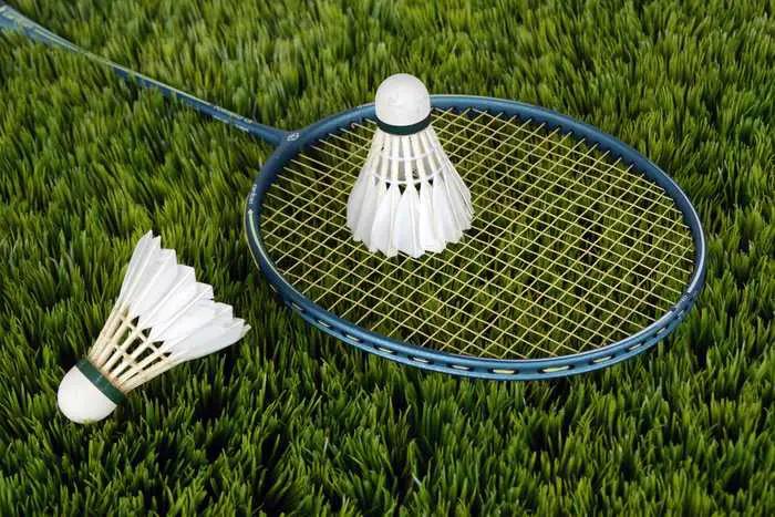 Racquet and shuttles on grass